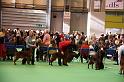 Crufts2010 1103